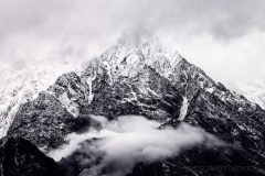 IMG_1446-scaled